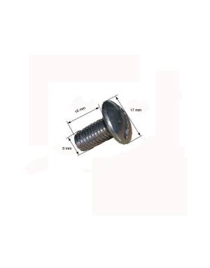 TORNILLO DE PISCINA INOX